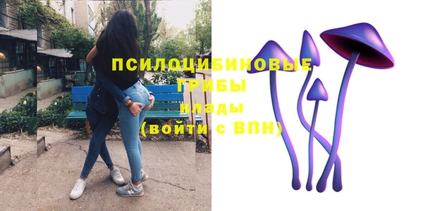 mix Сатка