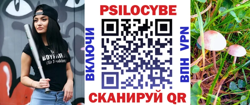 Псилоцибиновые грибы мицелий  Бородино 